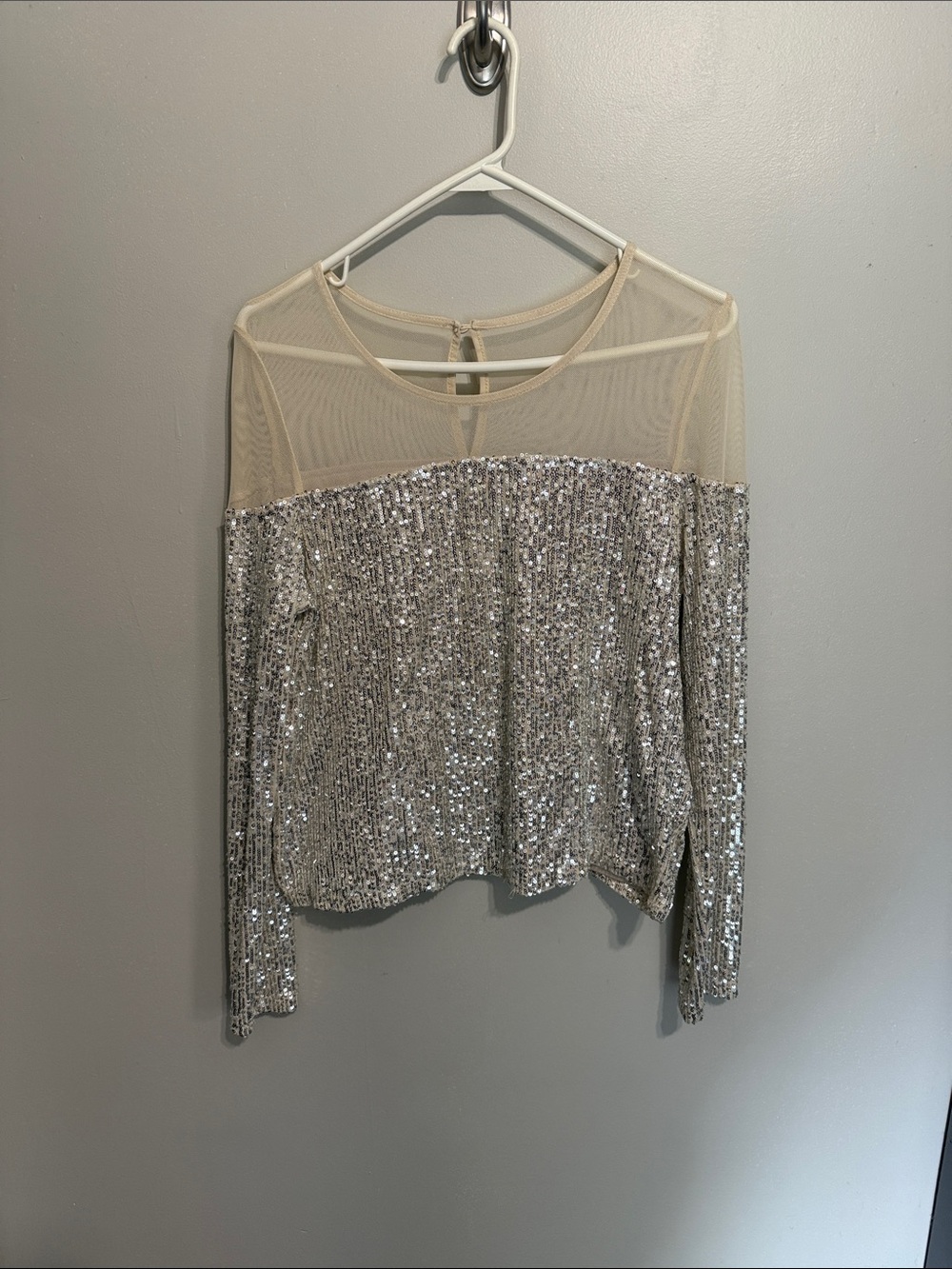 Silver Sequin Mesh Yoke Long Sleeve Top